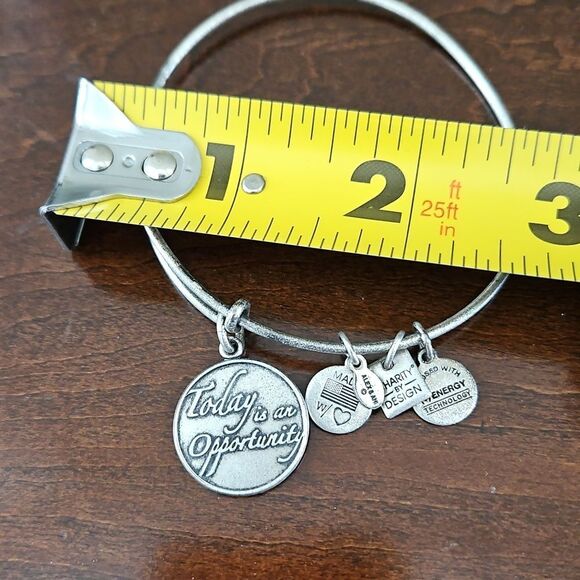 Alex and Ani Silver Charm Bracelet - Picture 7 of 8